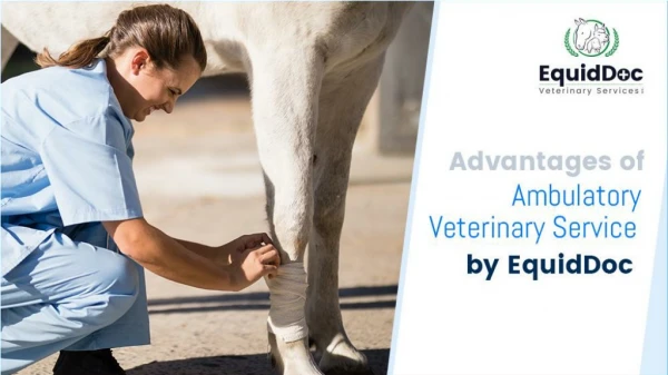 Advantages of Ambulatory Veterinary Services