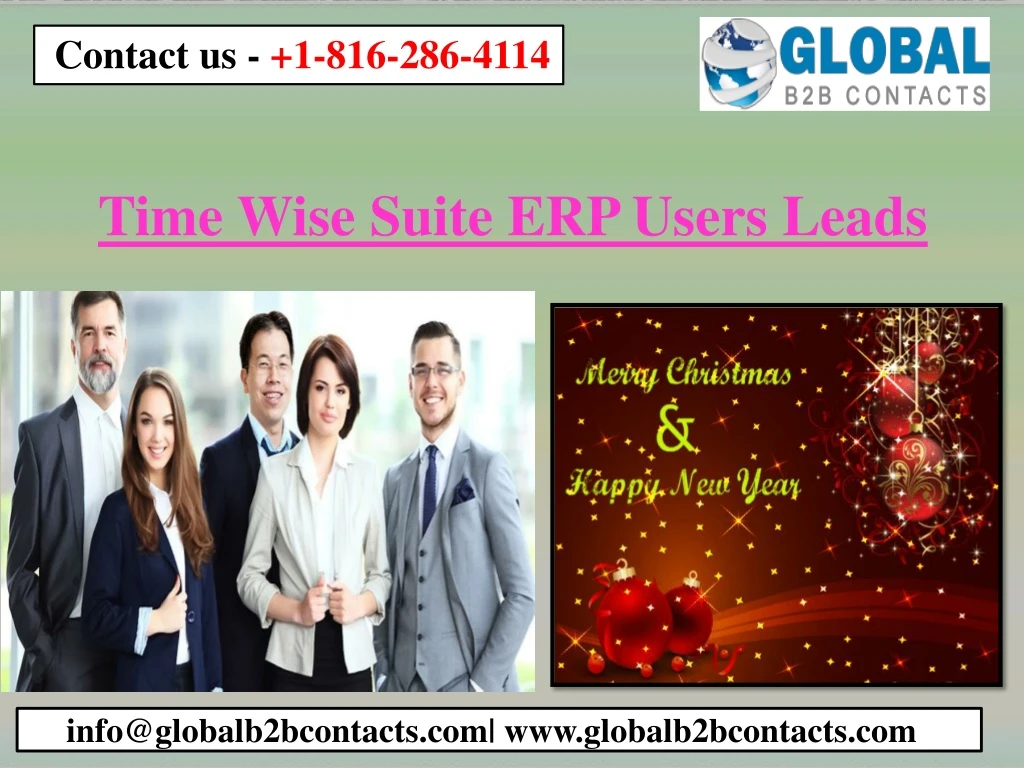 time wise suite erp users leads