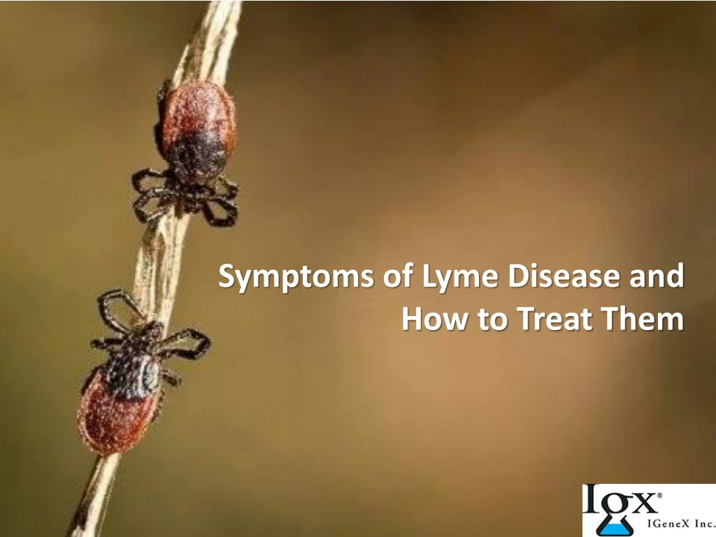 symptoms of lyme disease and how to treat them