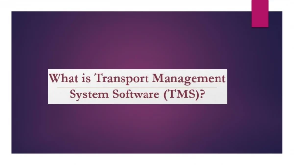 What is Transportation Management Systems Software (TMS)?