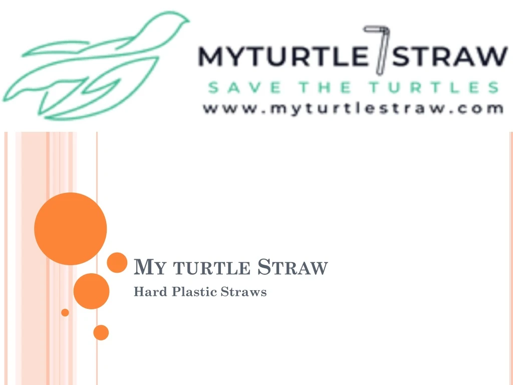 my turtle straw