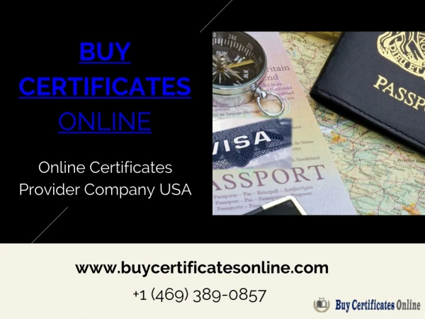 Visa And Immigration Services At Affordable Price