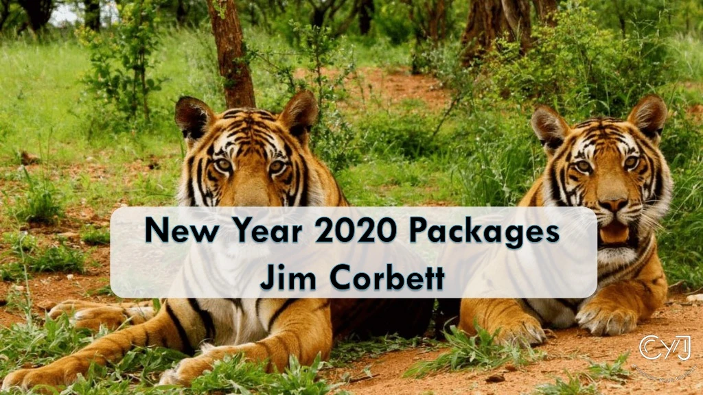 new year 2020 packages jim corbett