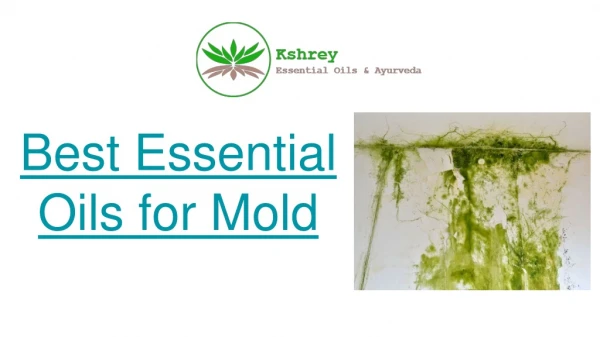 How to fight Mold with Essential Oils