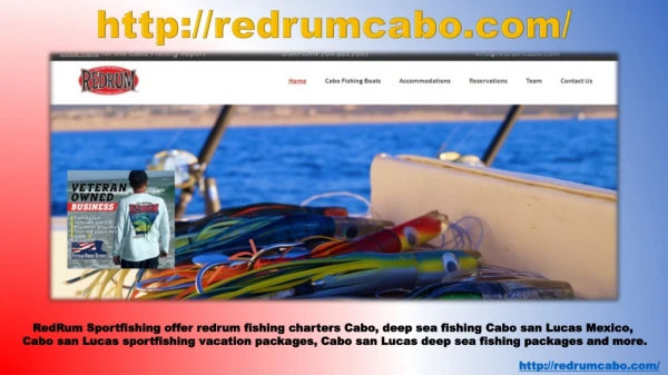 best fishing in cabo san lucas