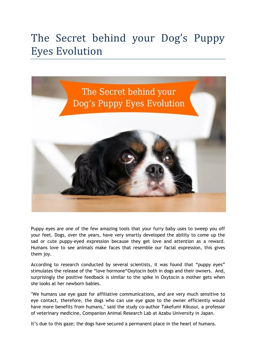 the secret behind your dog s puppy eyes evolution