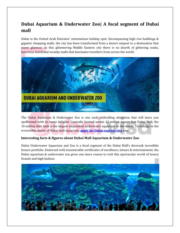 Dubai Aquarium & Underwater Zoo| A focal segment of dubai mall