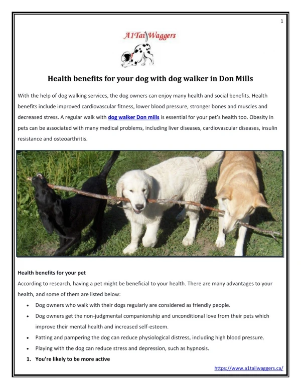 Health benefits for your dog with dog walker in Don Mills