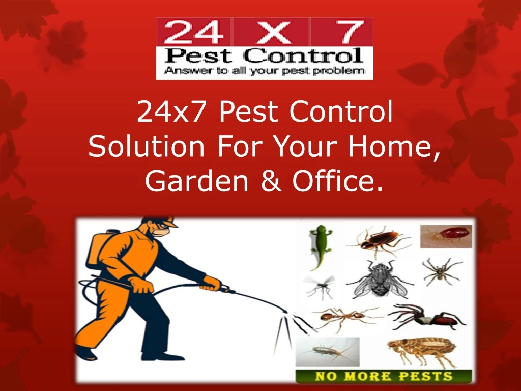 24x7 pest control solution for your home garden office