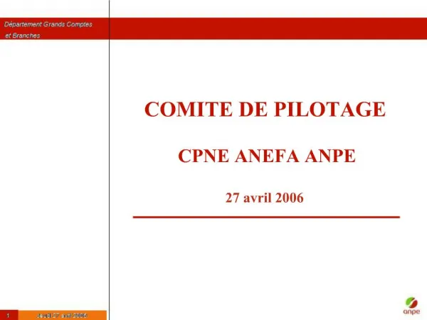 COMITE DE PILOTAGE CPNE ANEFA ANPE 27 avril 2006