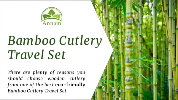 bamboo travel cutlery set