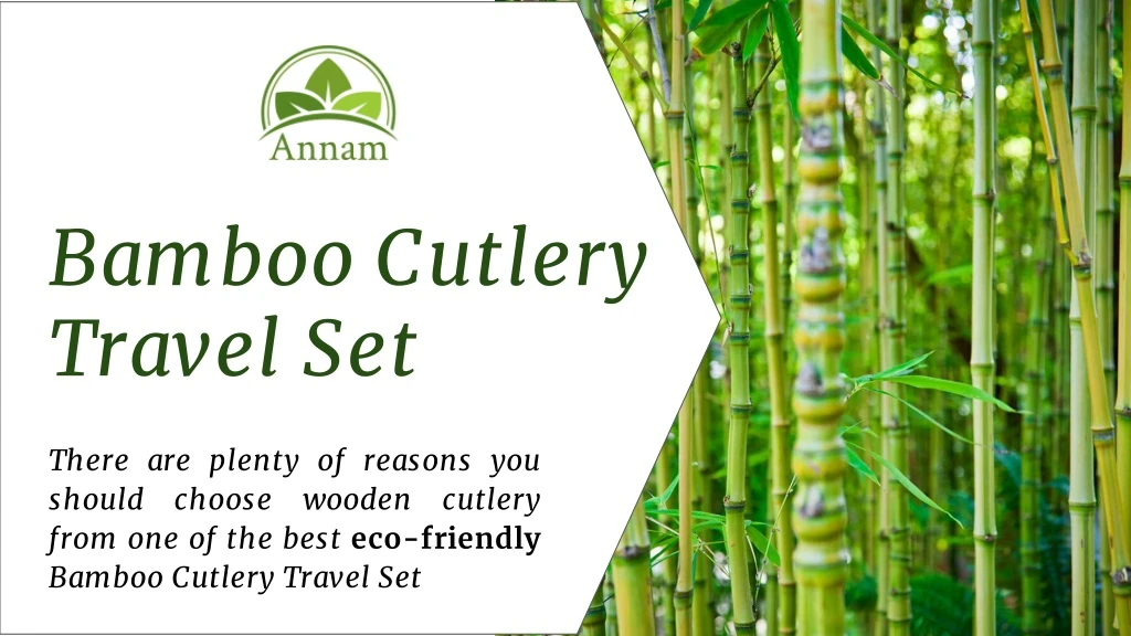 bamboo cutlery travel set