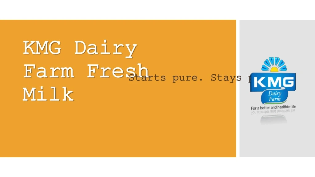 kmg dairy farm fresh milk