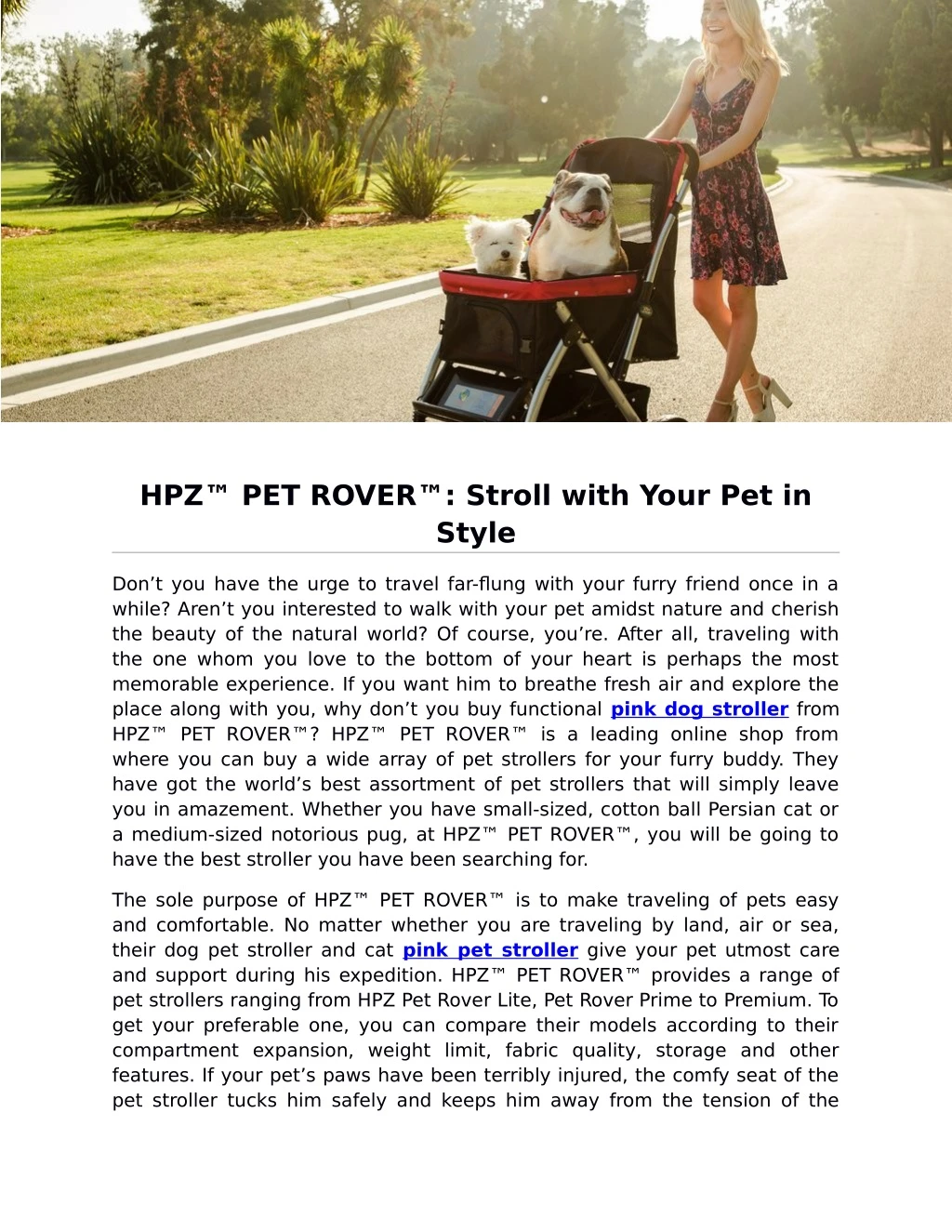 hpz pet rover stroll with your pet in style