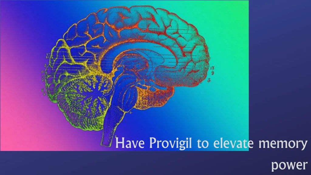 have provigil to elevate memory power