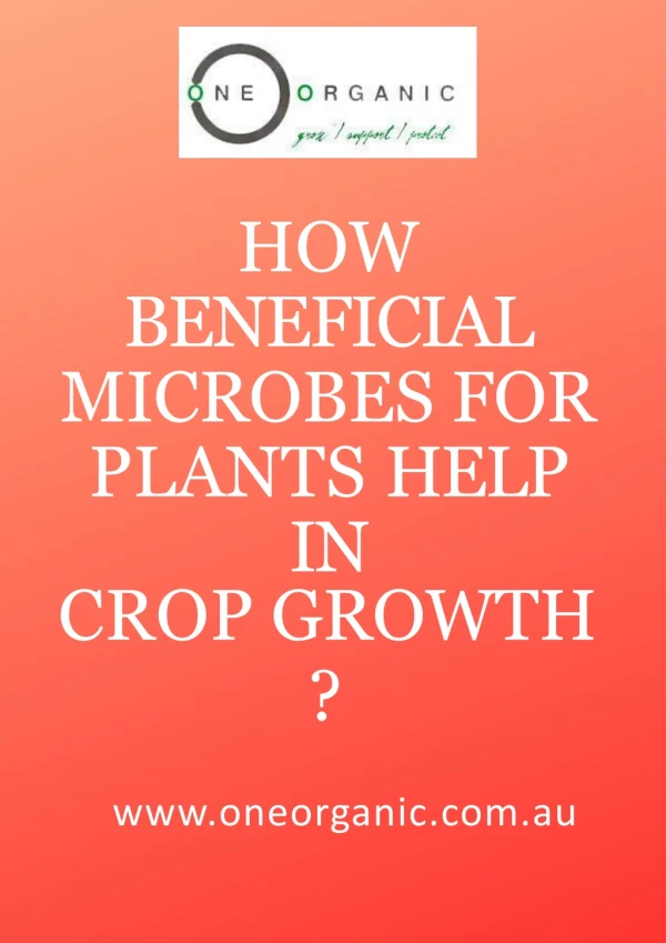 Uses of Beneficial Microbes For Plants | One Organic
