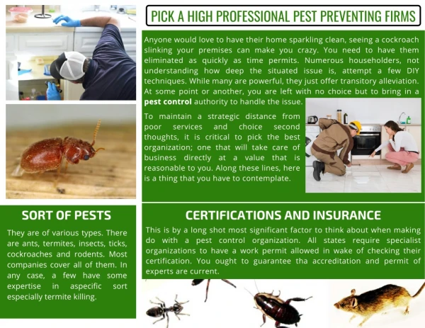 Pick A High Professional Pest Preventing Firms