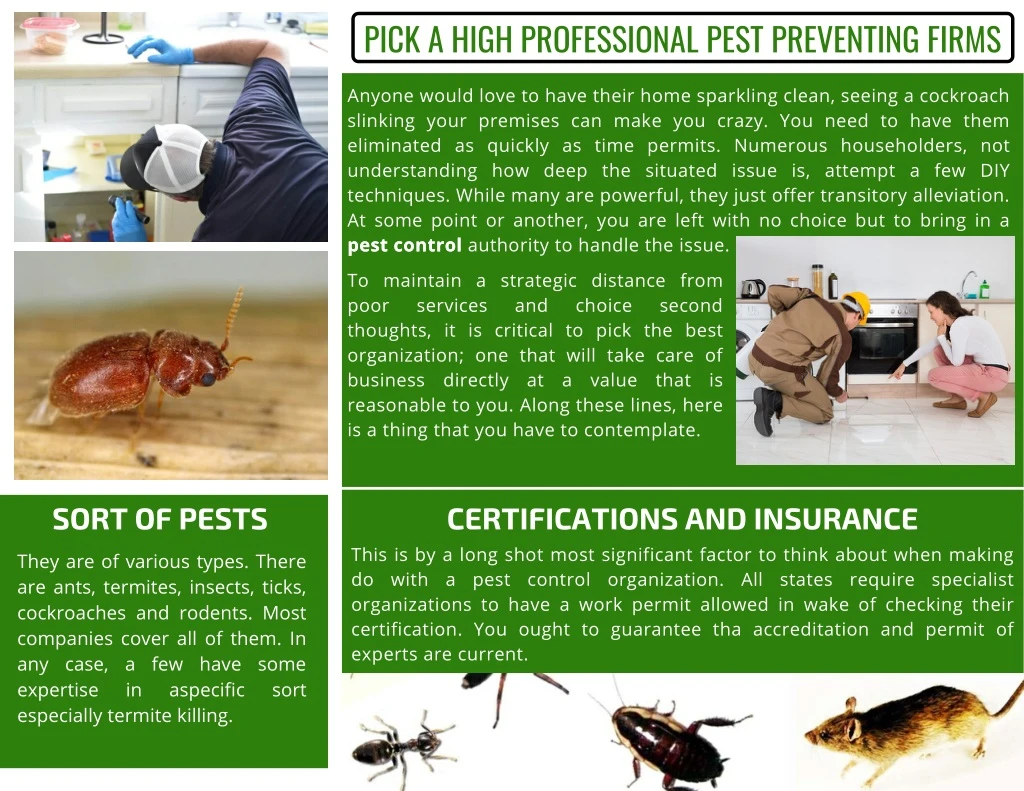 pick a high professional pest preventing firms