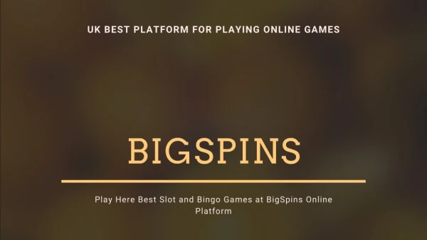 Play Online Bingo and Slot Games at BigSpins Platform