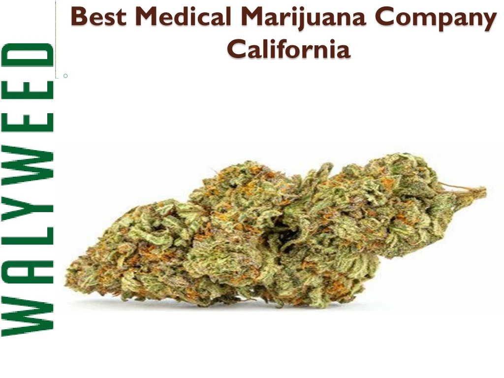 best medical marijuana company california