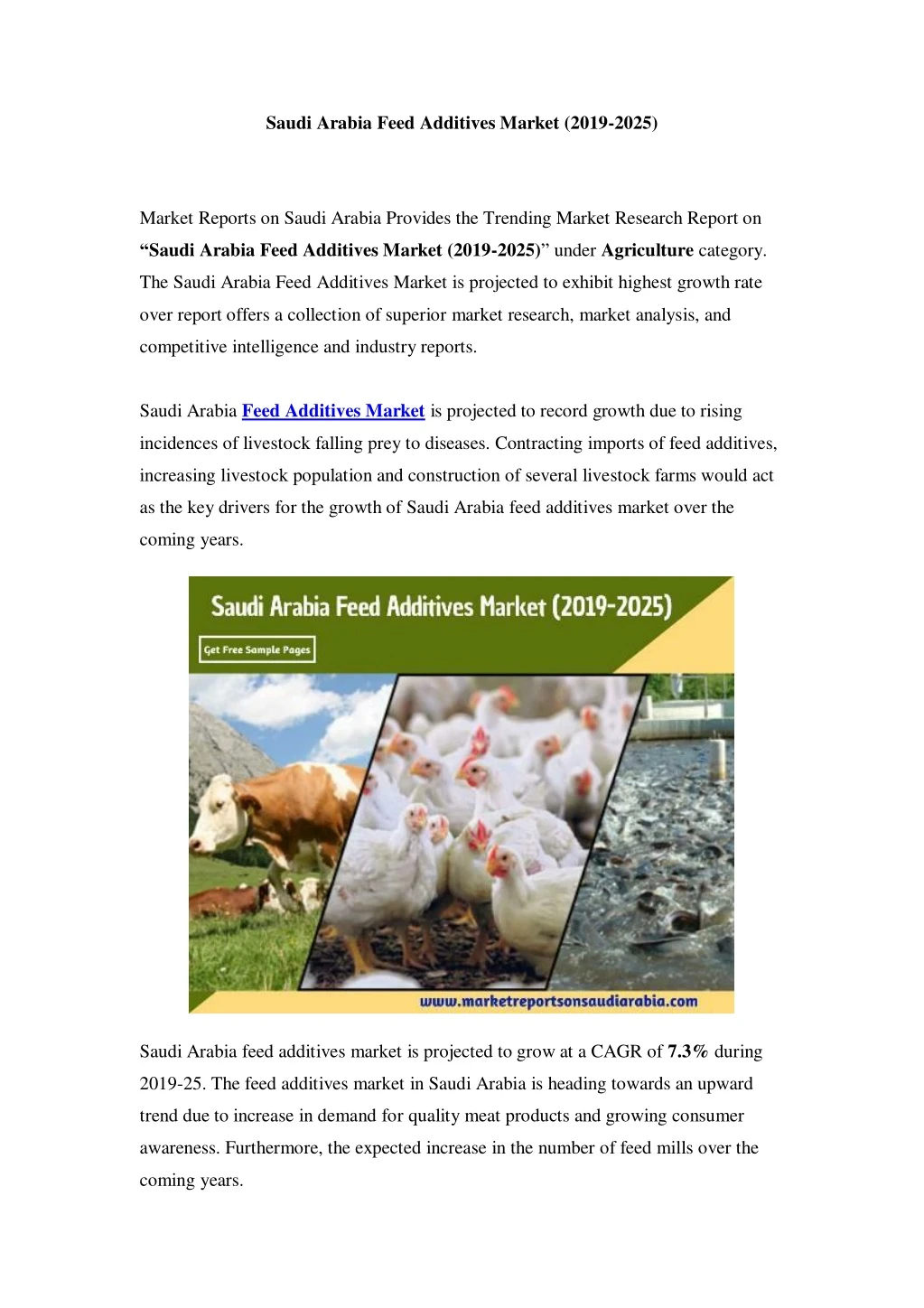 saudi arabia feed additives market 2019 2025