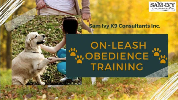 On-Leash Obedience Training - Sam Ivy