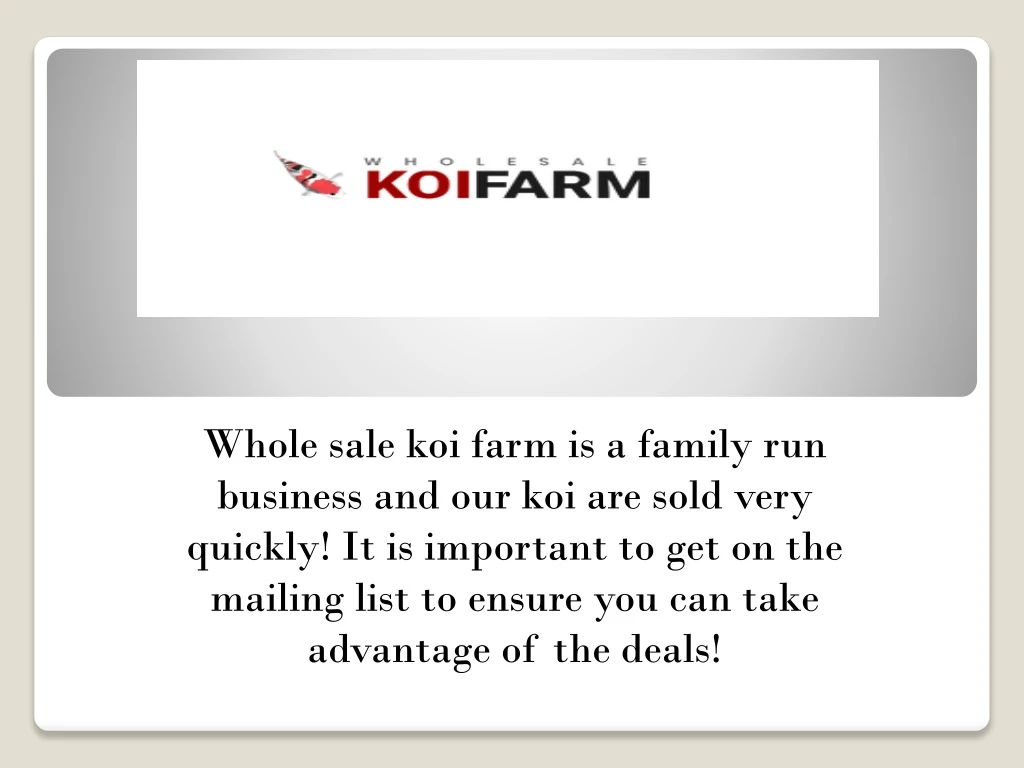 whole sale koi farm is a family run business