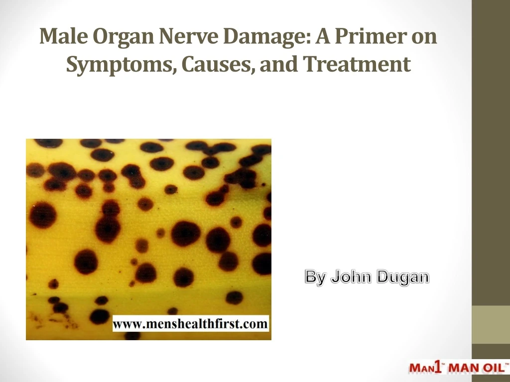 male organ nerve damage a primer on symptoms causes and treatment