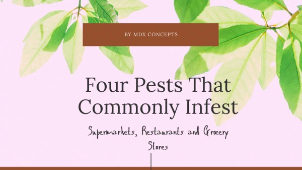 Four Pests That Commonly Infest Supermarkets, Restaurants and Grocery Stores