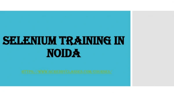 selenium training in noida