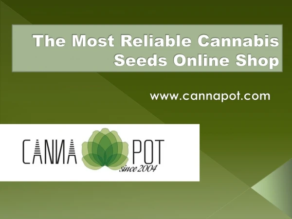 The Most Reliable Cannabis Seeds Online Shop