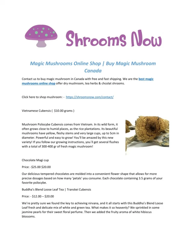 Magic Mushrooms Online Shop