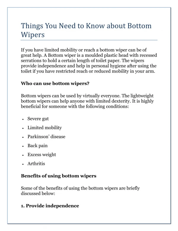 Things You Need to Know about Bottom Wipers