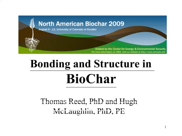Bonding and Structure in BioChar