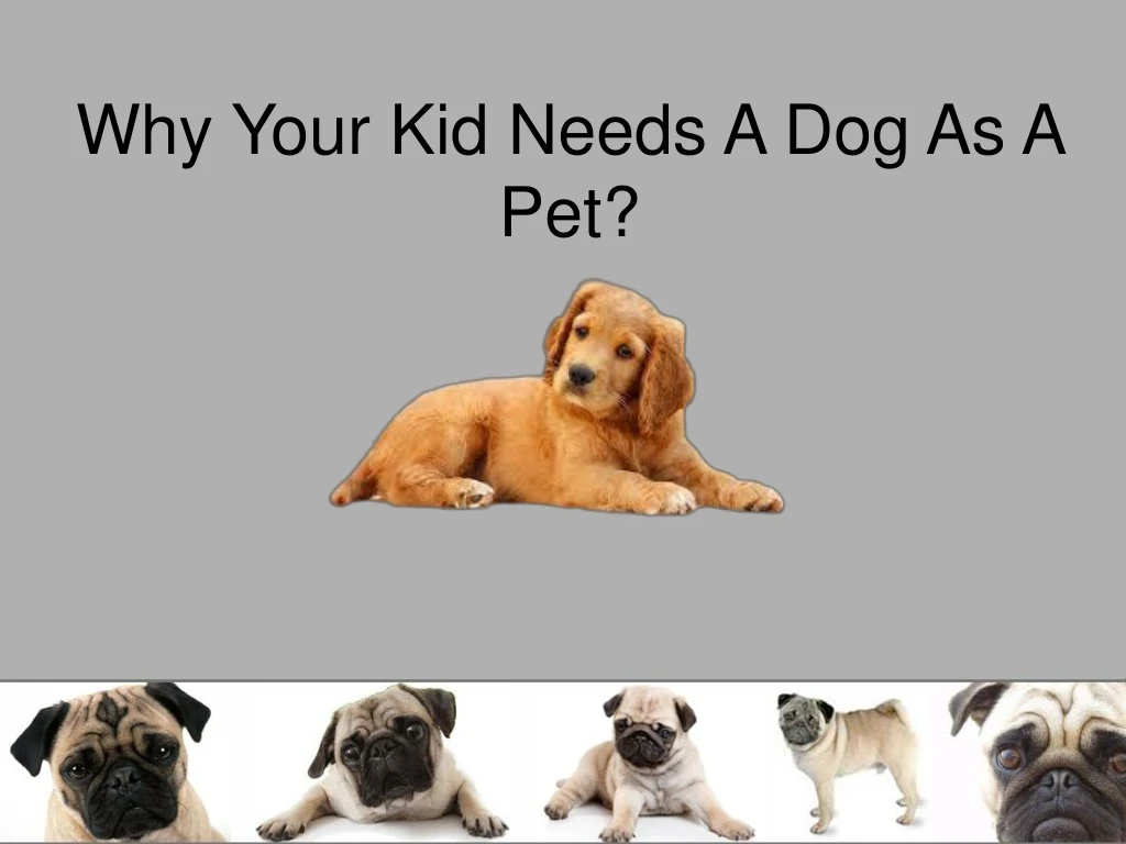 why your kid needs a dog as a pet