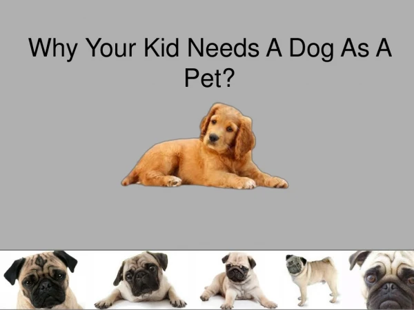 Why Your Kid Needs A Dog As A Pet?