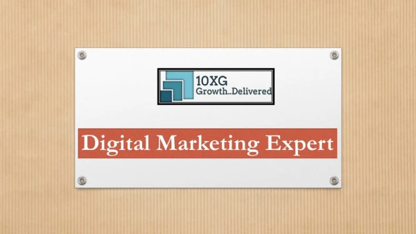 Best Digital Marketing Expert | 10xg