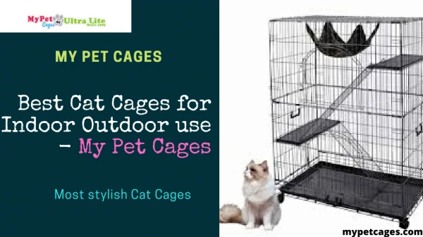 Cat cages for Your cats - My Pet Cages