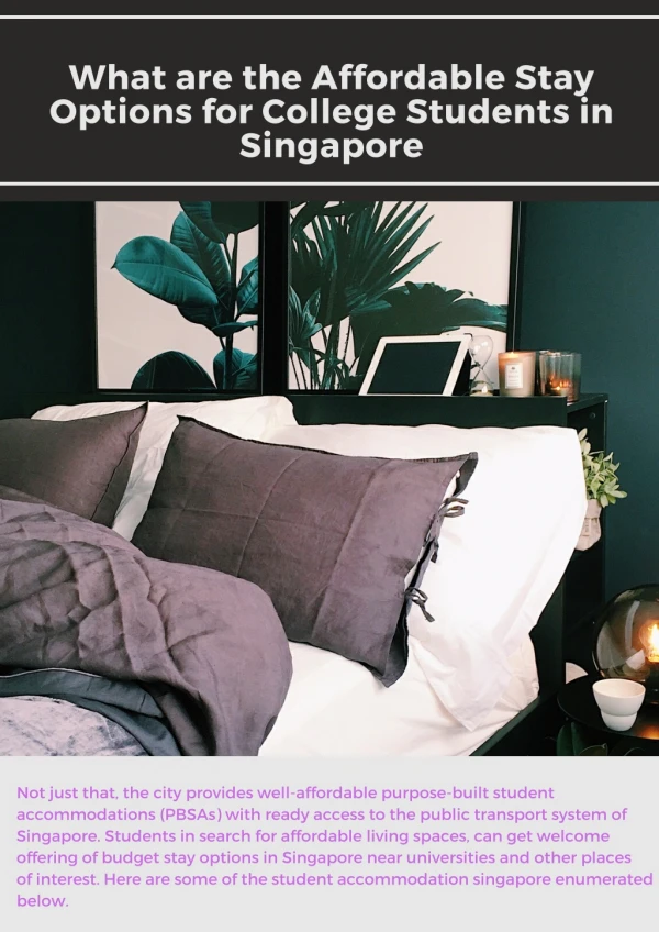 What are the Affordable Stay Options for College Students in Singapore