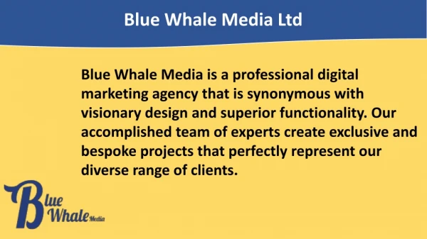 Content Marketing Agencies in Manchester | Blue Whale Media Ltd
