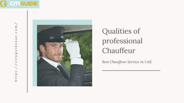 Chauffeur Service Dubai Airport | Well Managed Cabs