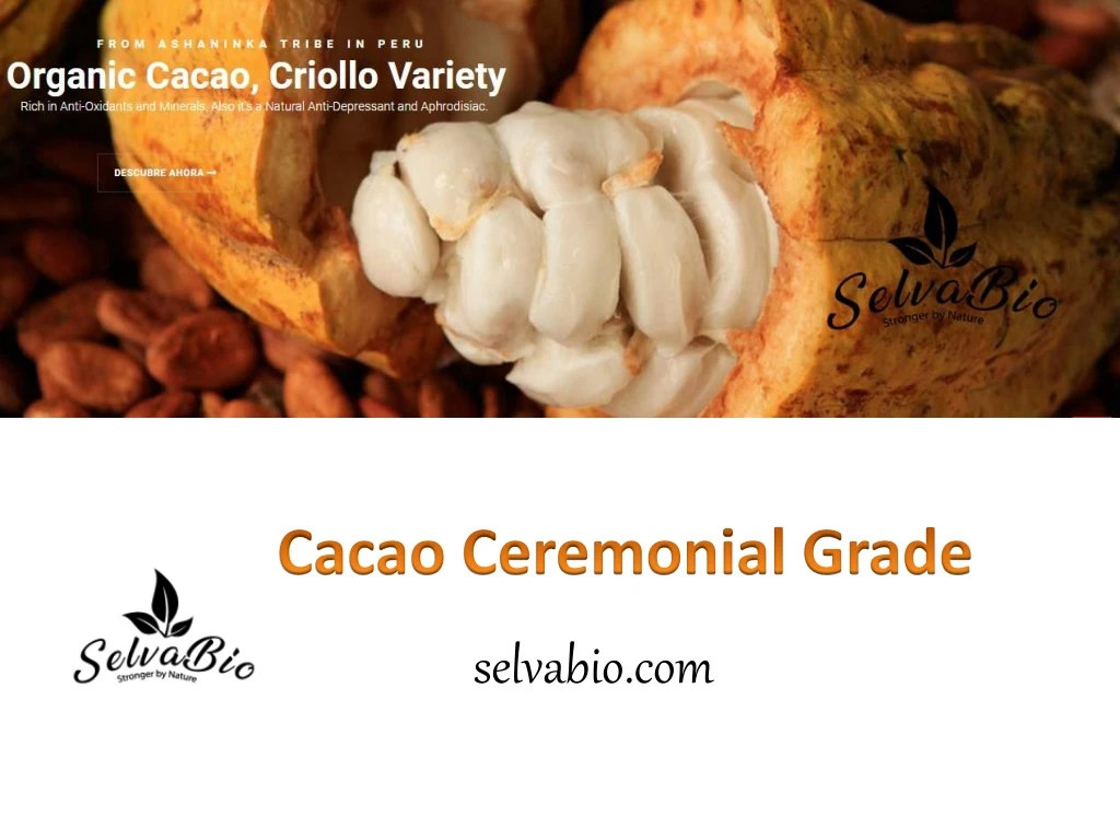 cacao ceremonial grade
