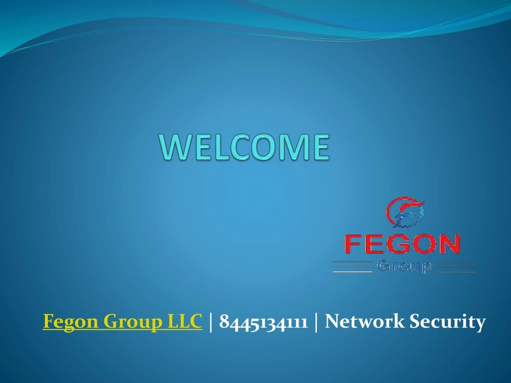 fegon group llc 8445134111 network security