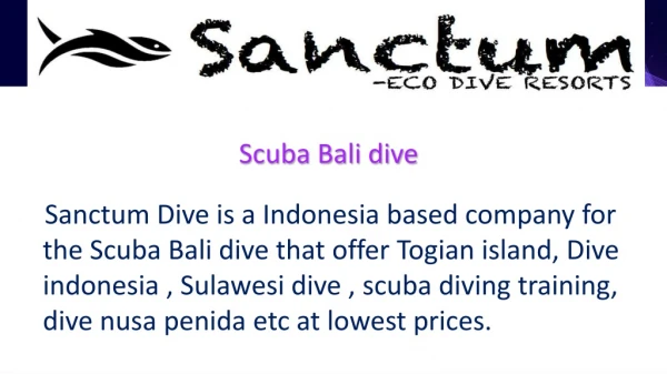 scuba bali dive