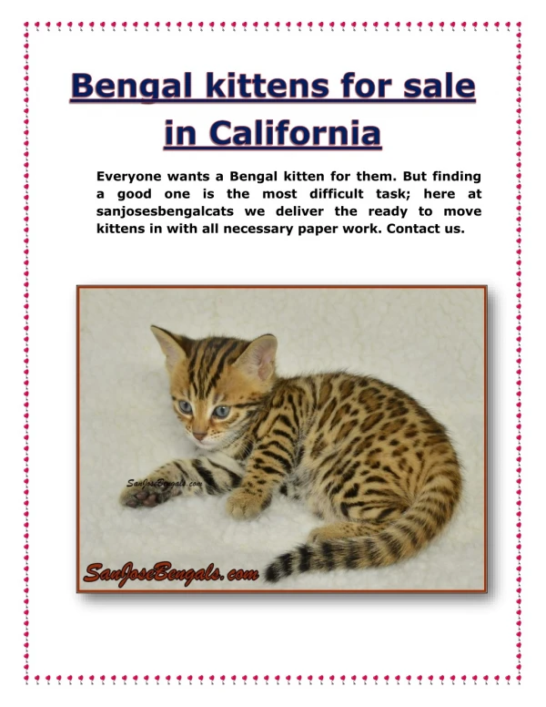 Bengal kittens for sale in California