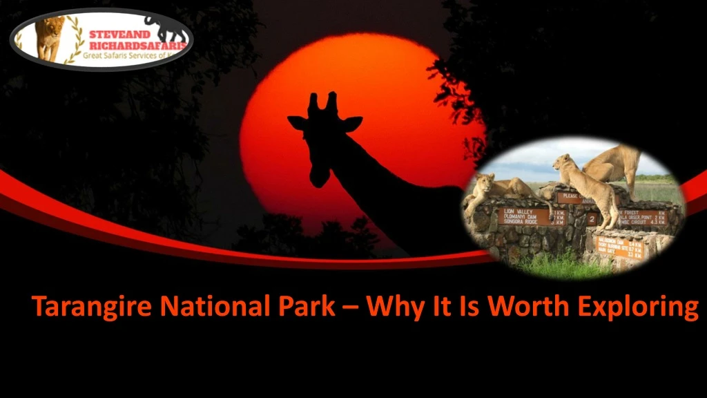 tarangire national park why it is worth exploring