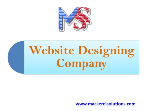 Website Designing Company - Mackerel Solutions
