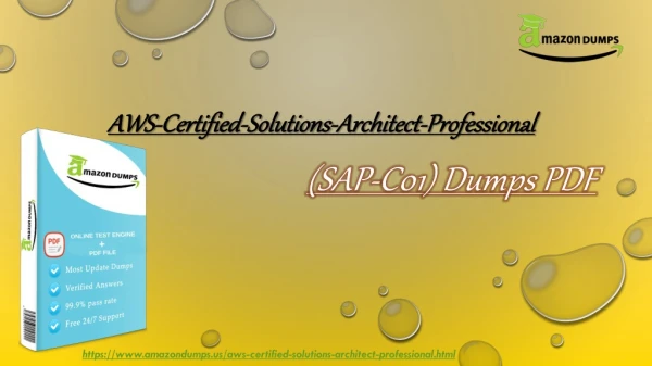 Latest SAP-C01 Practice Test - 2019 Amazon SAP-C01 Practice Test Dumps