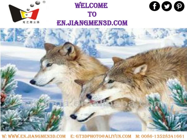 welcome to en jiangmen3d com