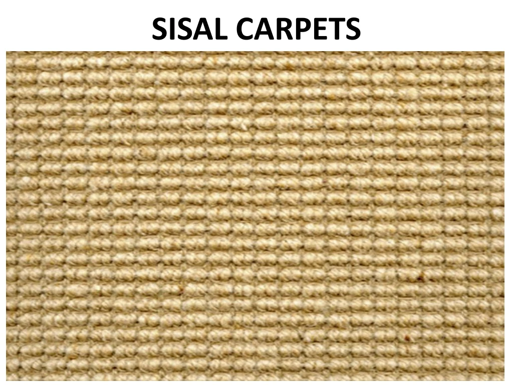 sisal carpets